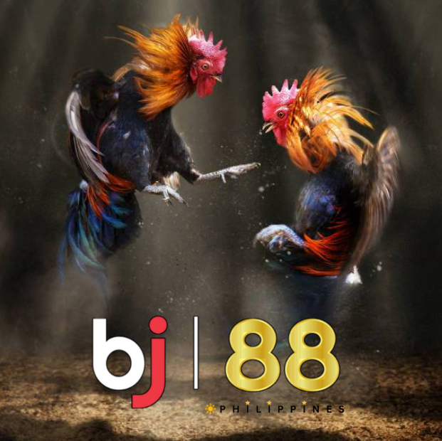 Harness the Power of Information at BJ88 Philippines: Gain an Edge in Online Sabong.