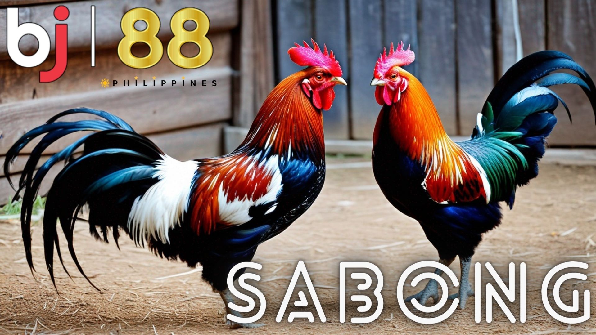 Embrace the Filipino Tradition: Delve into the World of Online Sabong at BJ88 Philippines.