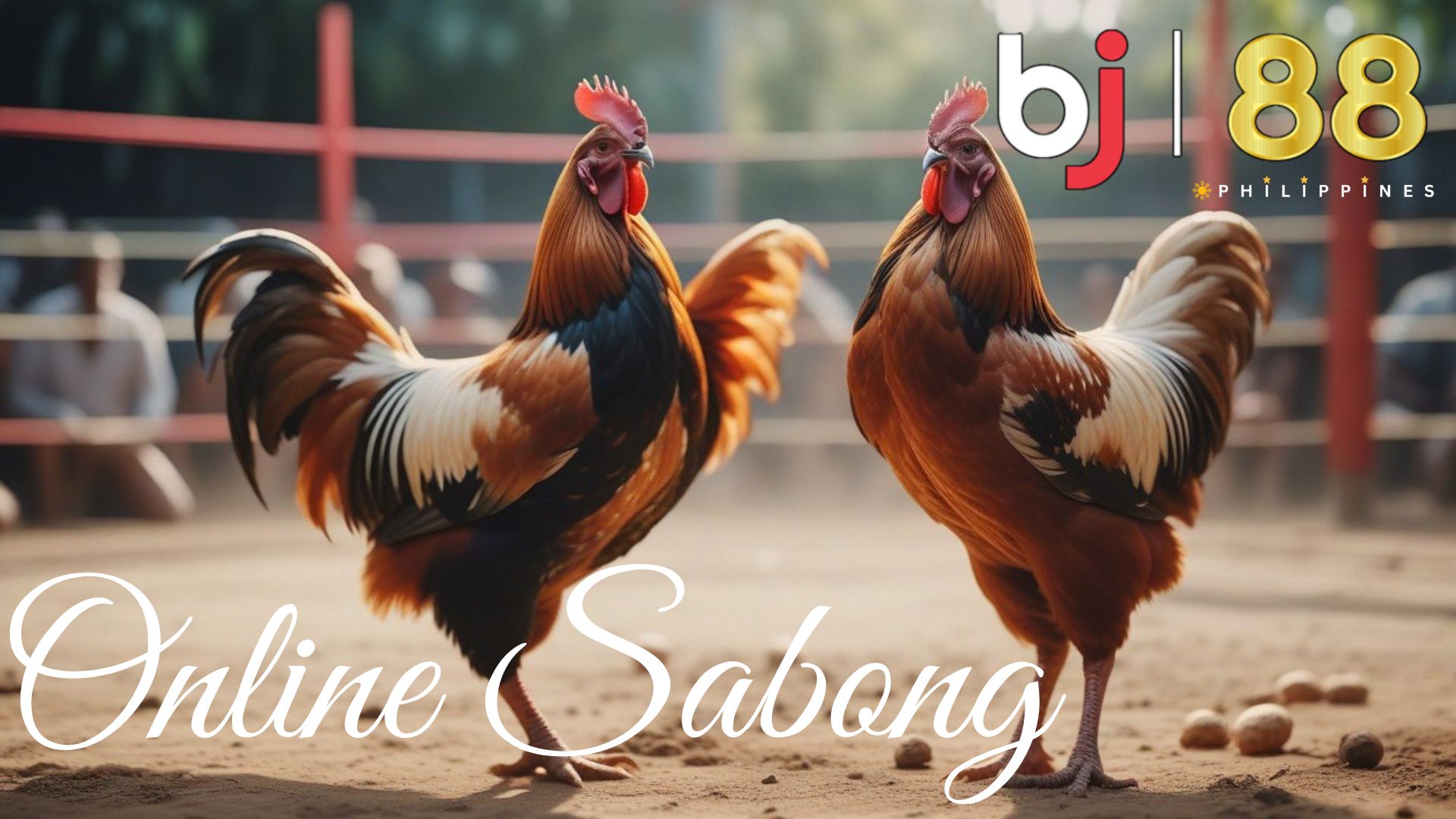 Find Your Feathered Fortune: Best Breeds for Online Sabong Domination at BJ88!