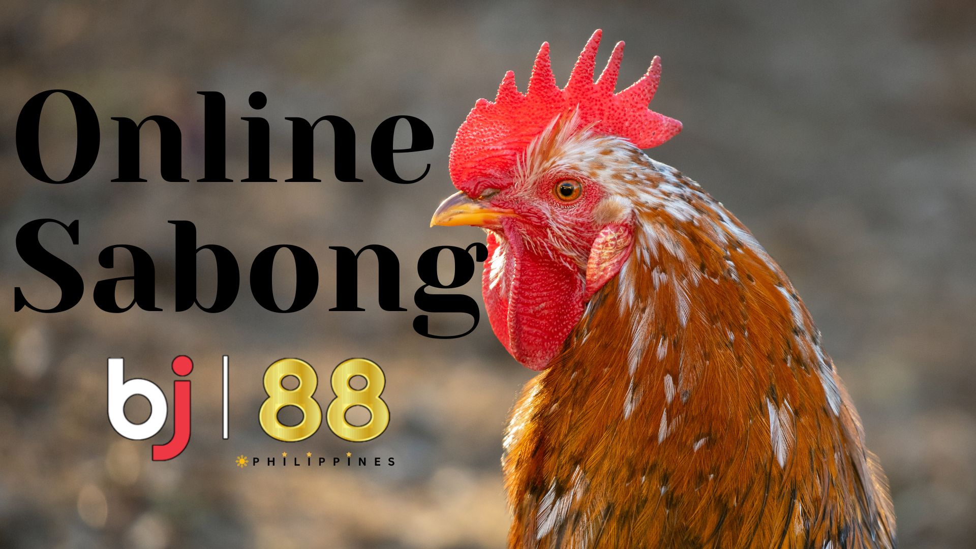 Discover the Sabong Betting Podcasts: Listen and Learn at BJ88 Philippines.