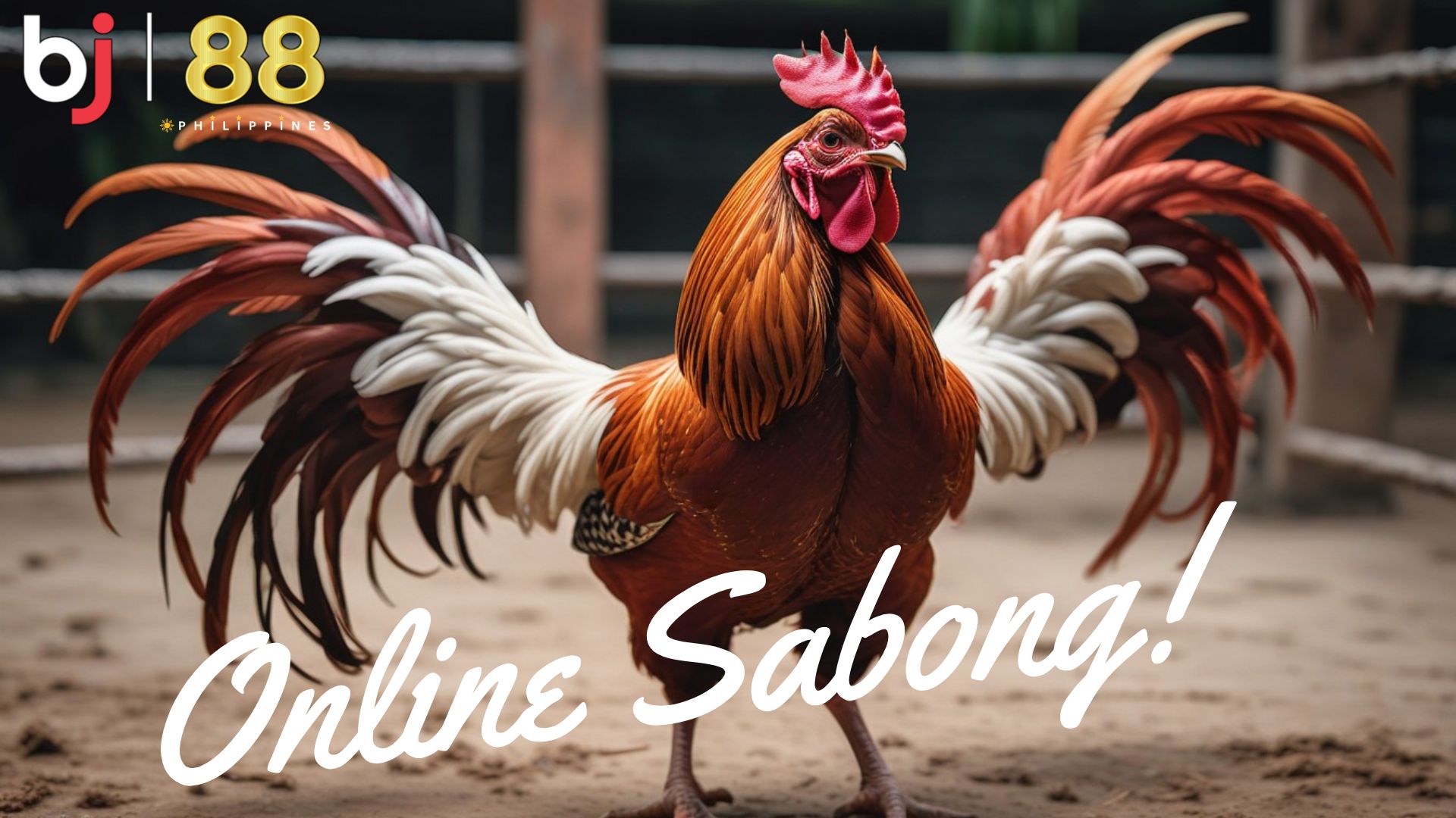 Crowing into the Future: BJ88’s Sabong Evolution – Where Tradition Meets Digital Gaming.