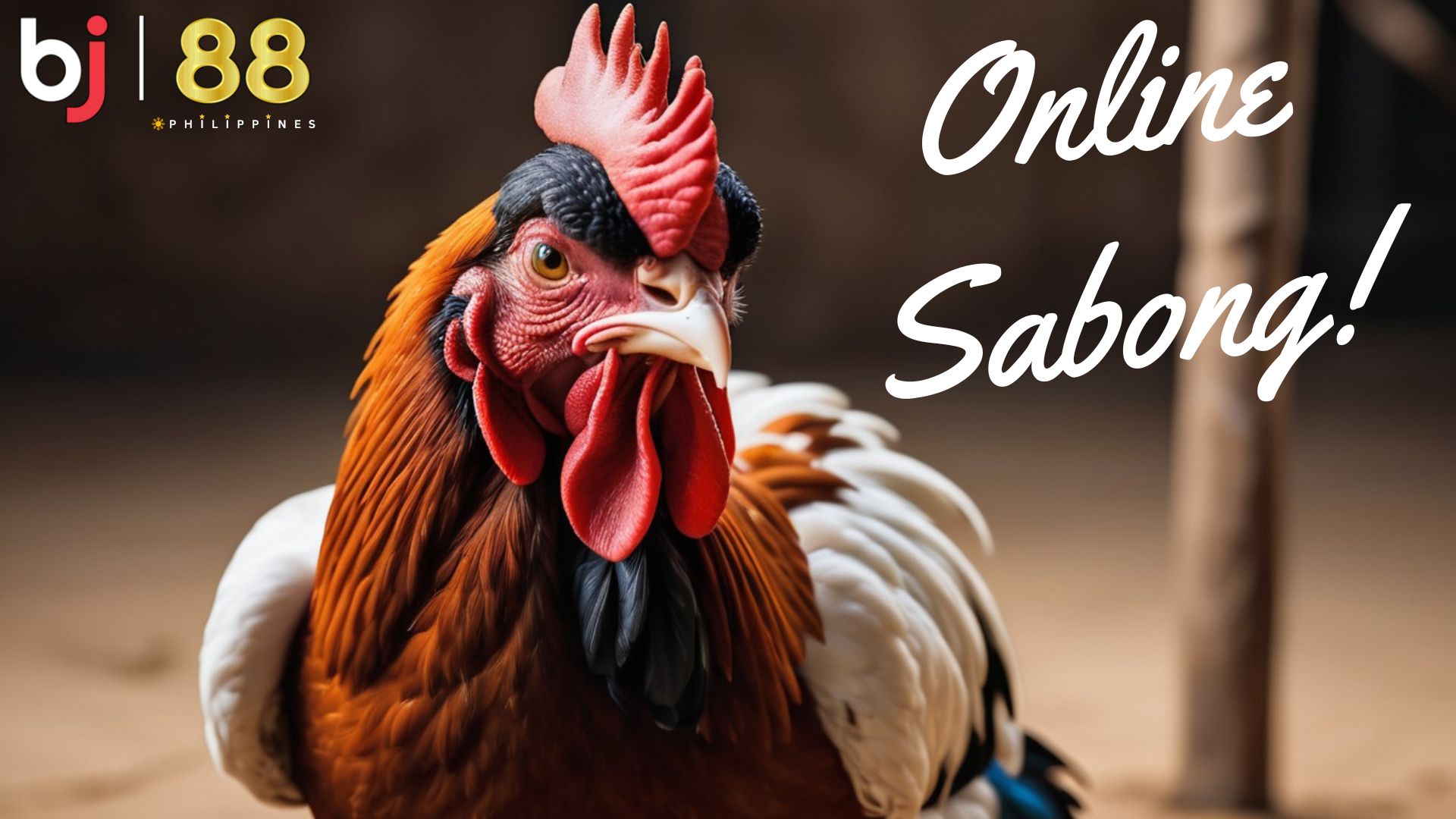 Experience Heart-Pounding Online Sabong with BJ88.