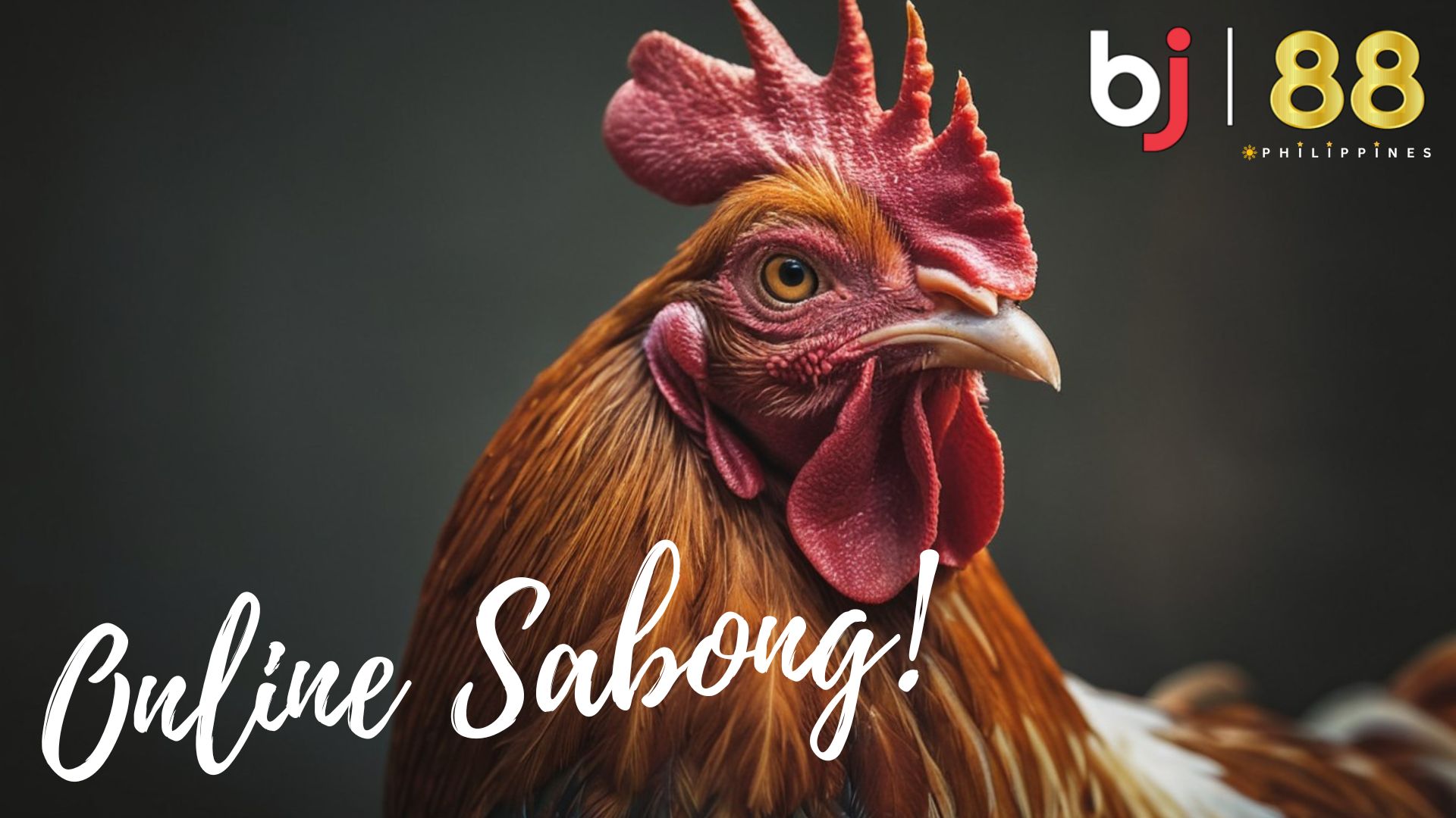 Join BJ88 and Experience Online Sabong Like Never Before.