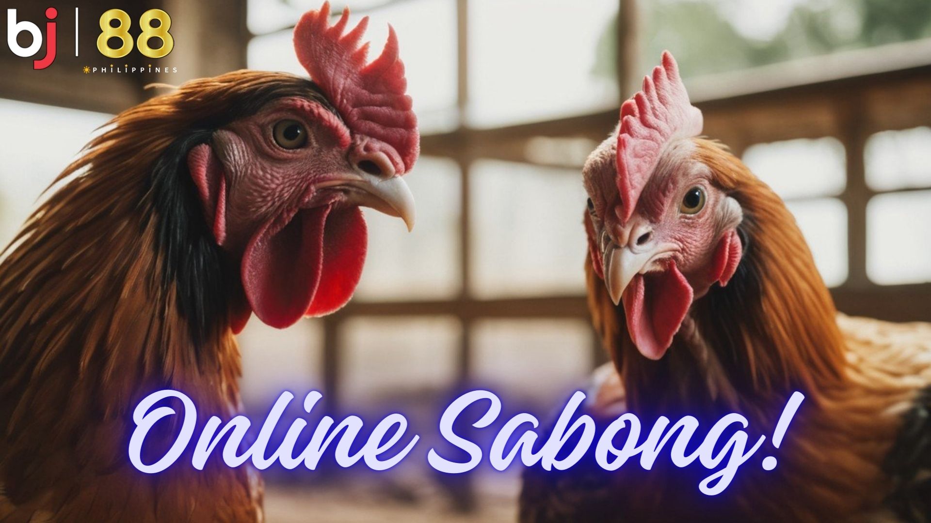 Embark on a Feathery Fortune Hunt: Million-Peso Prizes Await in Exclusive Sabong Tournaments at BJ88.